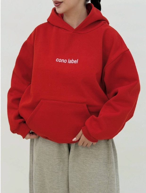 ۱۲۹۳